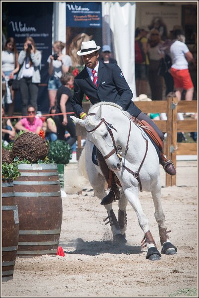 Pferd International 121
